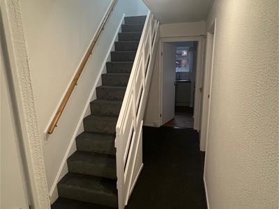 Picture 3